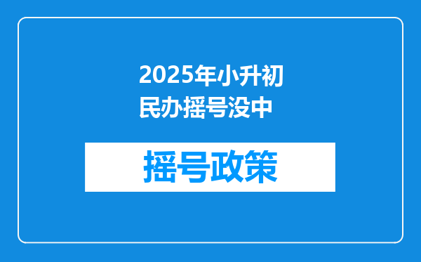 2025年小升初民办摇号没中