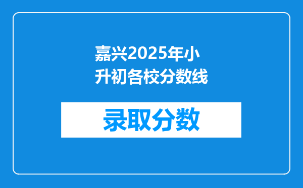 嘉兴2025年小升初各校分数线