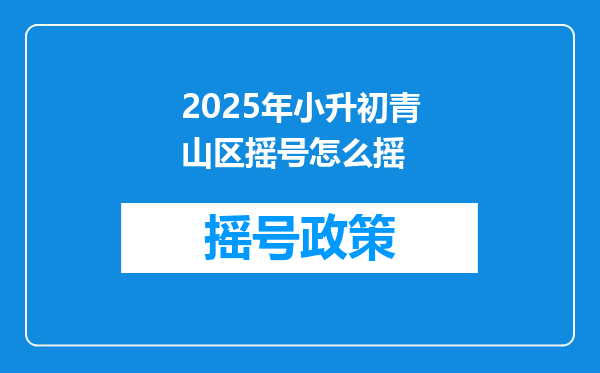 2025年小升初青山区摇号怎么摇