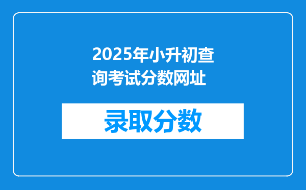 2025年小升初查询考试分数网址