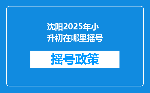 沈阳2025年小升初在哪里摇号