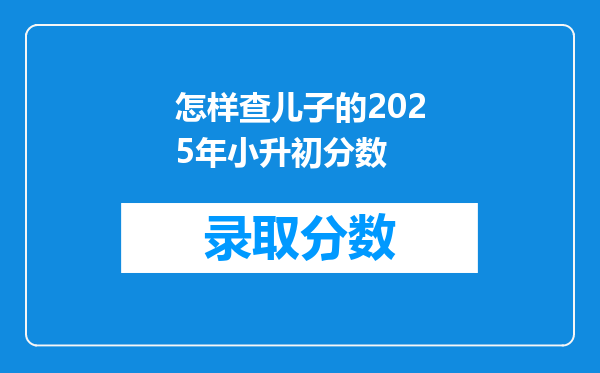 怎样查儿子的2025年小升初分数
