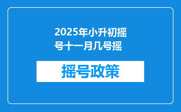 2025年小升初摇号十一月几号摇
