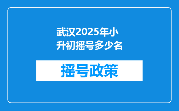 武汉2025年小升初摇号多少名