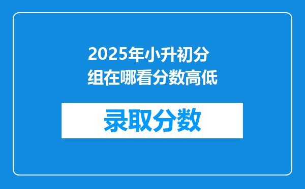 2025年小升初分组在哪看分数高低