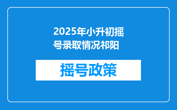 2025年小升初摇号录取情况祁阳