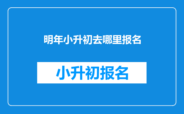 明年小升初去哪里报名
