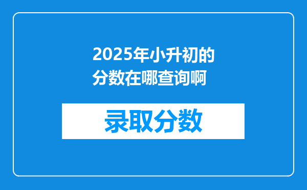 2025年小升初的分数在哪查询啊