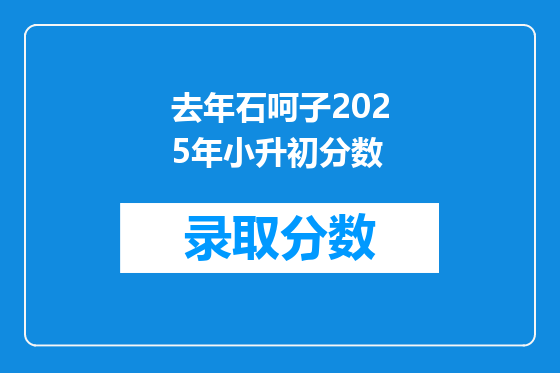 去年石呵子2025年小升初分数