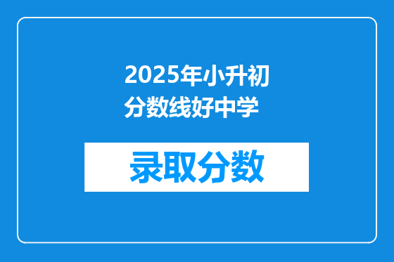2025年小升初分数线好中学