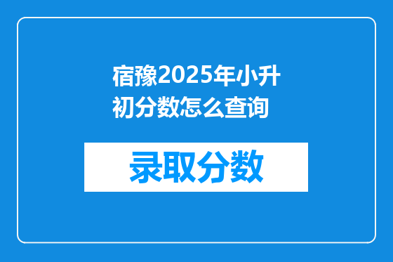 宿豫2025年小升初分数怎么查询