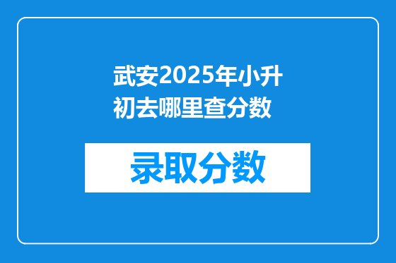 武安2025年小升初去哪里查分数