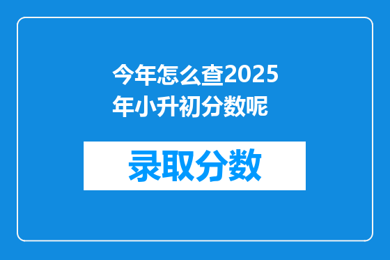 今年怎么查2025年小升初分数呢