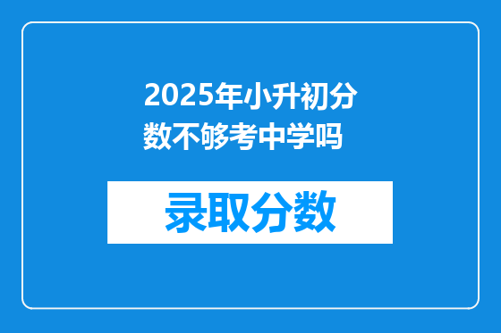 2025年小升初分数不够考中学吗