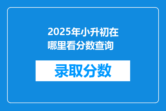 2025年小升初在哪里看分数查询