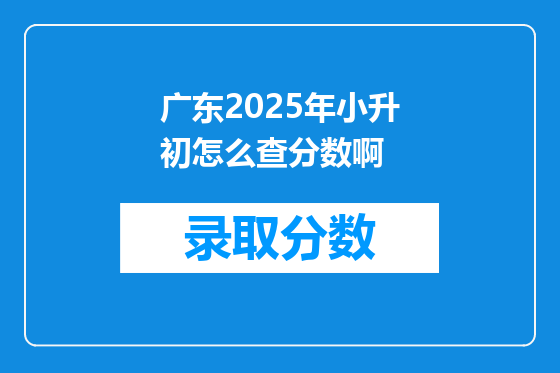 广东2025年小升初怎么查分数啊