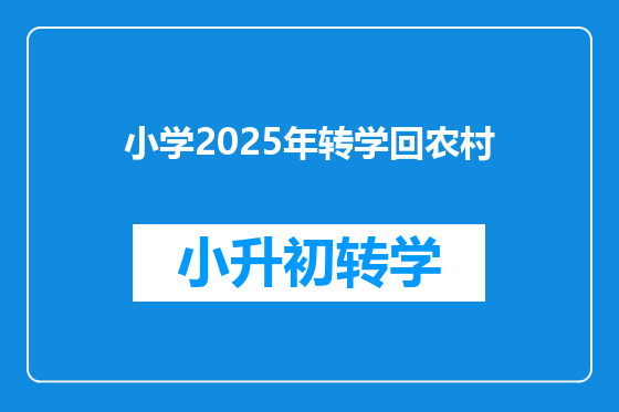 小学2025年转学回农村