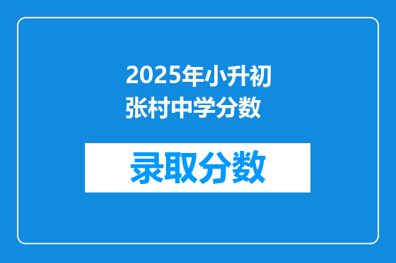 2025年小升初张村中学分数