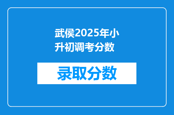 武侯2025年小升初调考分数