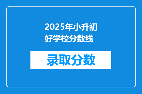 2025年小升初好学校分数线