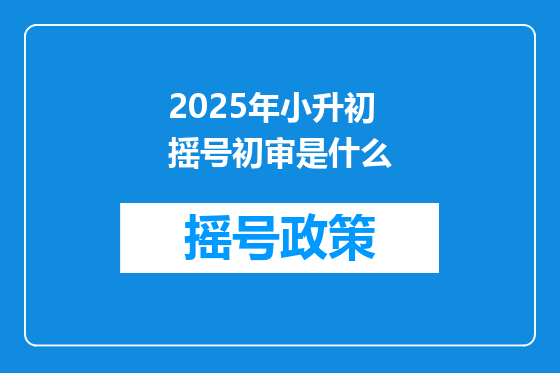 2025年小升初摇号初审是什么
