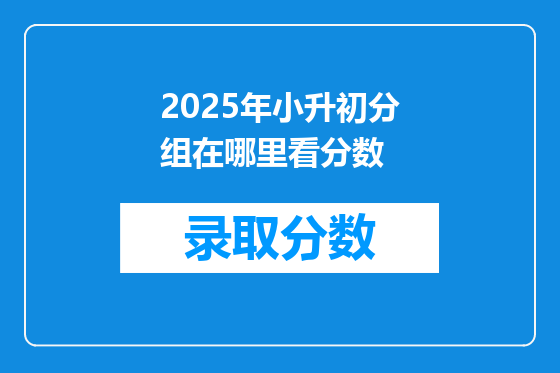 2025年小升初分组在哪里看分数