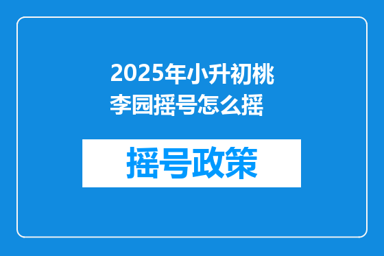 2025年小升初桃李园摇号怎么摇