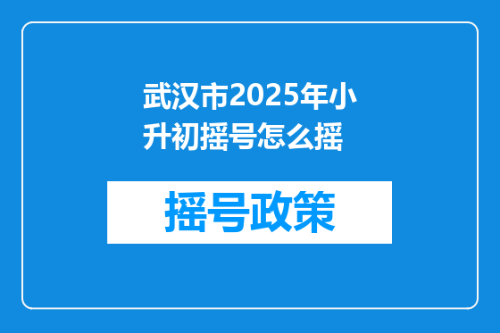 武汉市2025年小升初摇号怎么摇