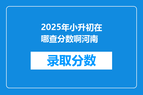 2025年小升初在哪查分数啊河南