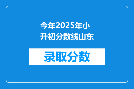 今年2025年小升初分数线山东