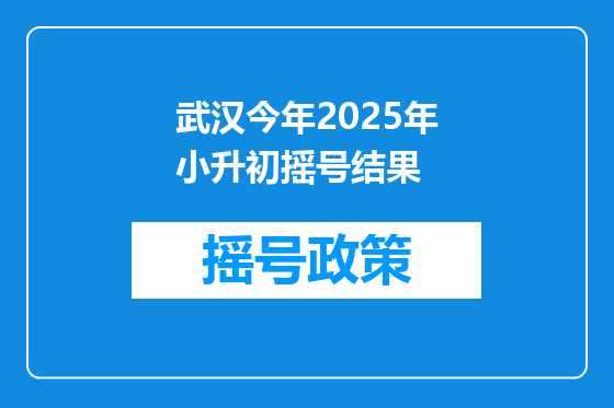 武汉今年2025年小升初摇号结果