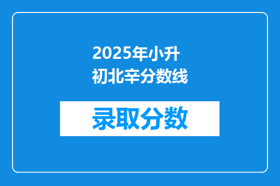 2025年小升初北辛分数线