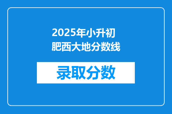 2025年小升初肥西大地分数线