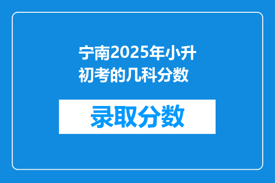 宁南2025年小升初考的几科分数