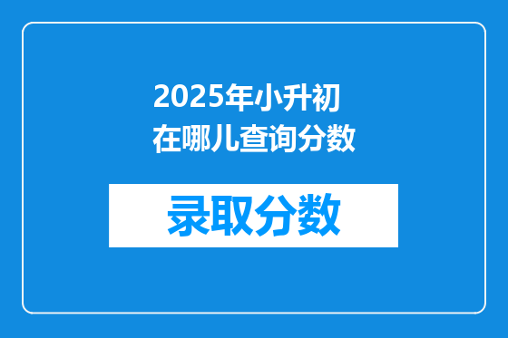2025年小升初在哪儿查询分数