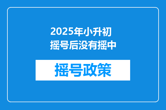 2025年小升初摇号后没有摇中