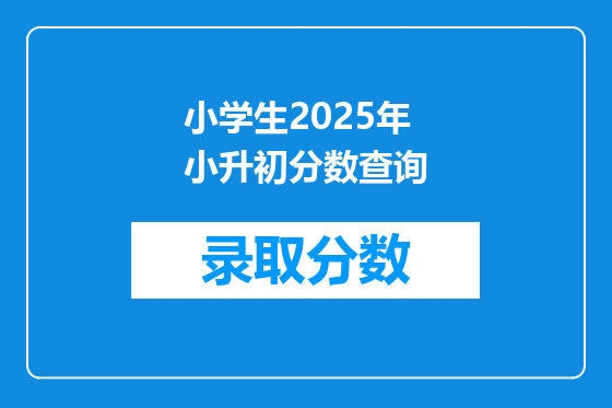 小学生2025年小升初分数查询