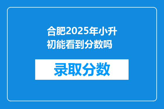 合肥2025年小升初能看到分数吗