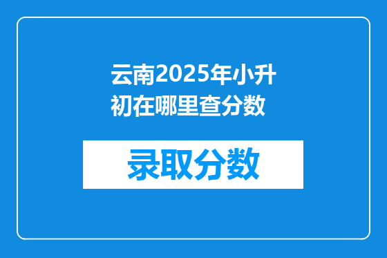 云南2025年小升初在哪里查分数