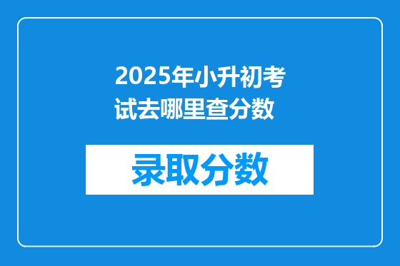 2025年小升初考试去哪里查分数