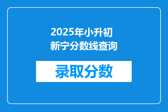 2025年小升初新宁分数线查询