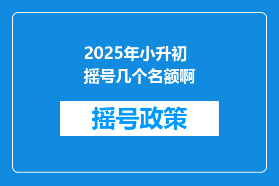2025年小升初摇号几个名额啊