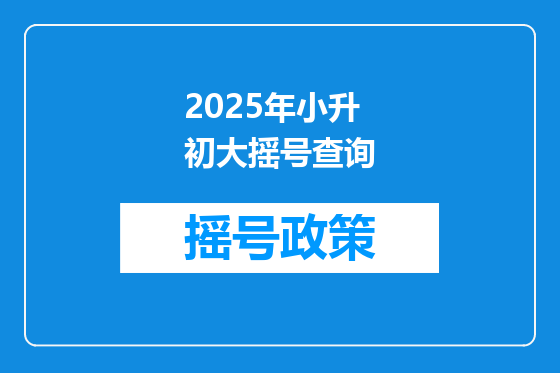 2025年小升初大摇号查询