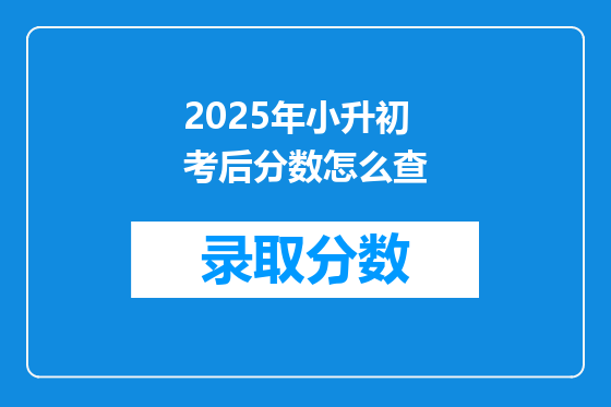 2025年小升初考后分数怎么查