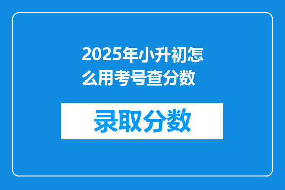 2025年小升初怎么用考号查分数