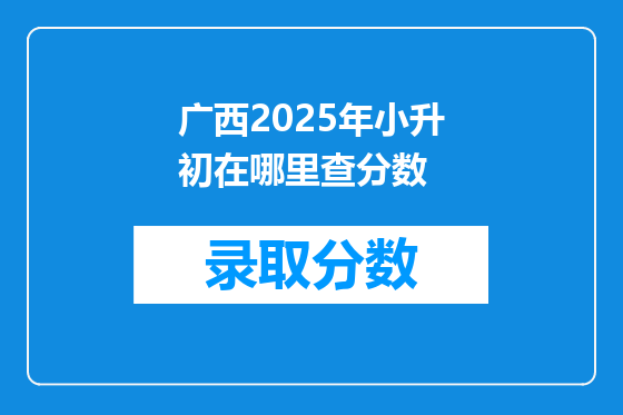 广西2025年小升初在哪里查分数