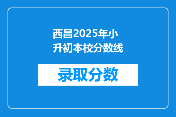 西昌2025年小升初本校分数线
