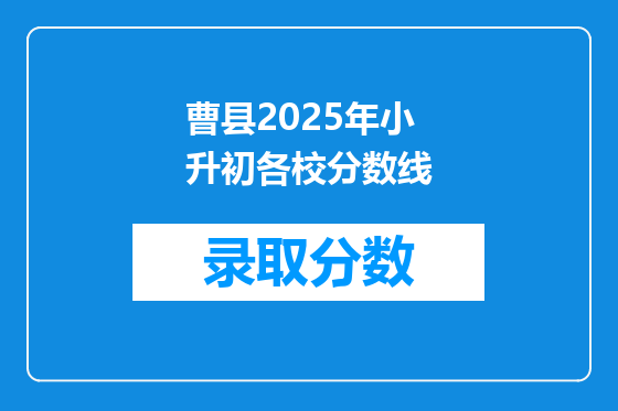 曹县2025年小升初各校分数线