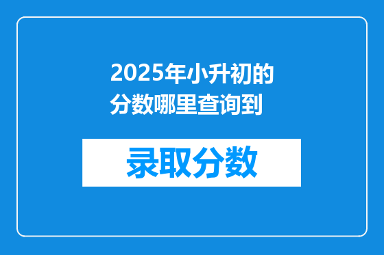 2025年小升初的分数哪里查询到