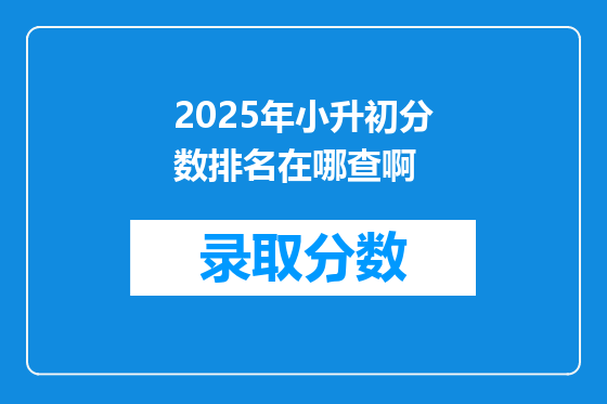 2025年小升初分数排名在哪查啊